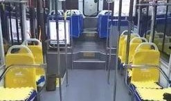 长春公交车爆料最新消息,事故频发，安全隐患引关注